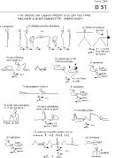 3avr06Dng