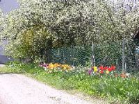 DSCN8437
